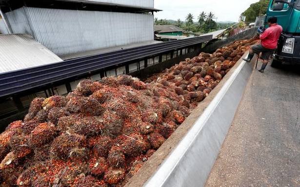 Pakistan will ‘compensate’ Malaysia by buying more palm oil after India withdraws: Imran Khan