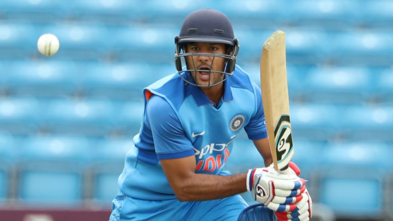 Prithvi Shaw, Mayank Agarwal will open in New Zealand ODIs