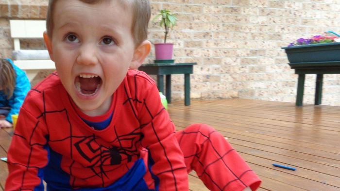 Details of authorities’s undercover William Tyrrell sting revealed in court