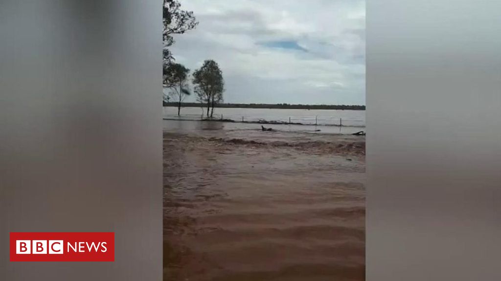 ‘Wow examine this out!’: Rain strikes eastern Australia