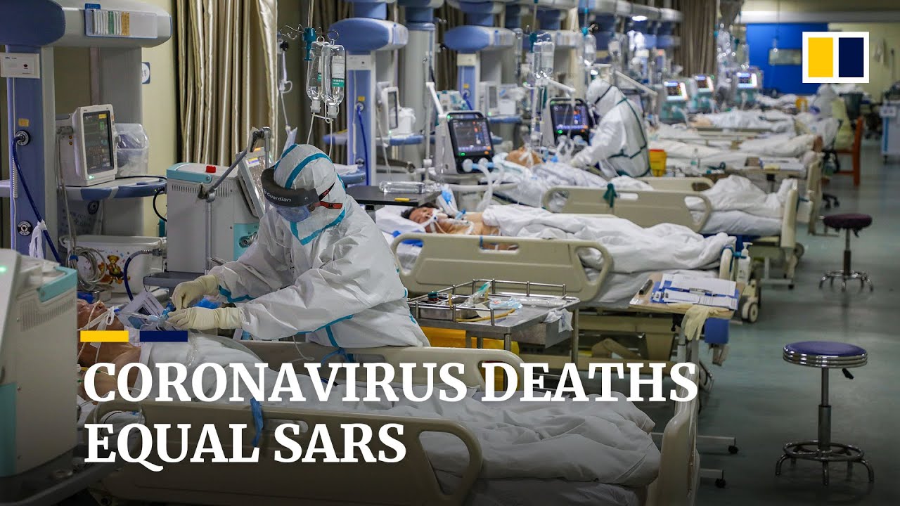 Global coronavirus deaths equal Sars, while new infections drop