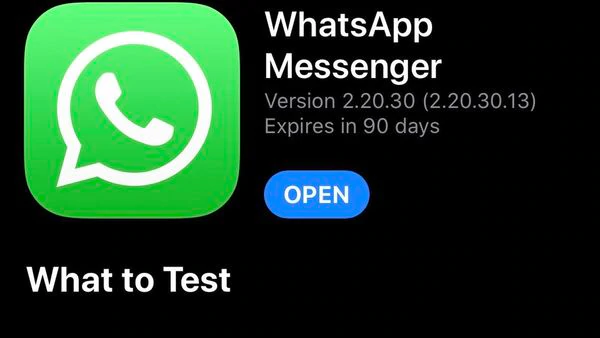 WhatsApp dark mode feature: How to enable beta variation