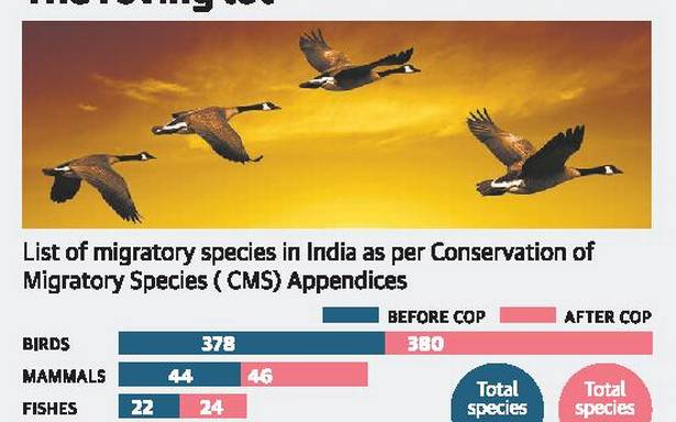 India is host to 457 migratory fauna, reveals newest CMS list