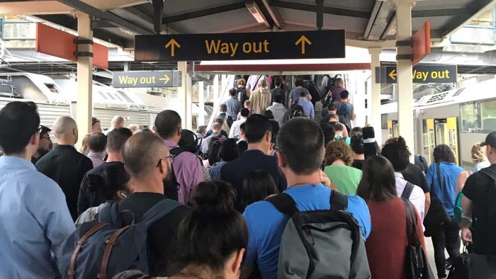 Sydney commuter turmoil as derailment causes major train hold-ups