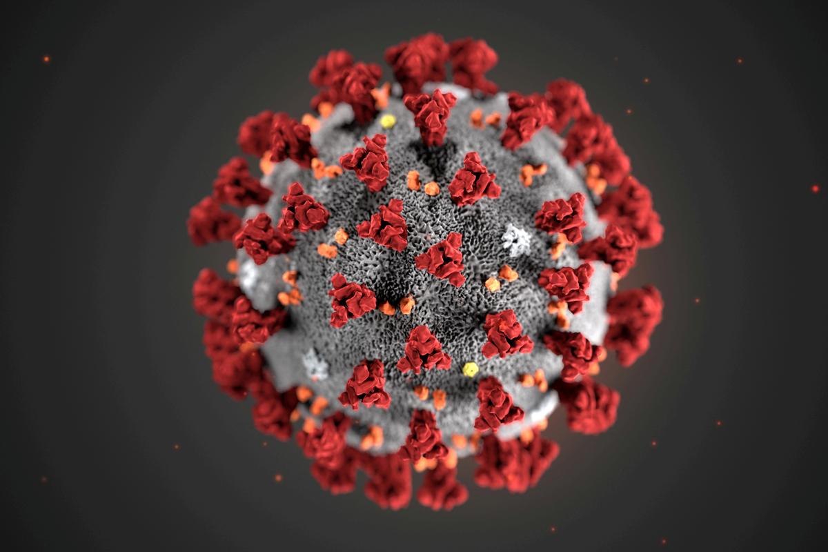 Coronavirus mean incubation duration 5-7 days, maximum 14: Chinese Medical Association