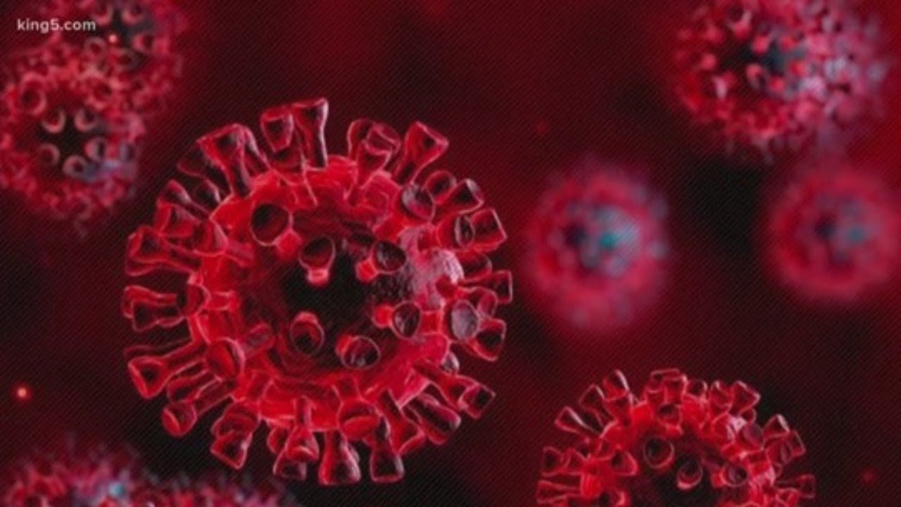 VIEW LIVE: UW Medicine officials go over screening for coronavirus