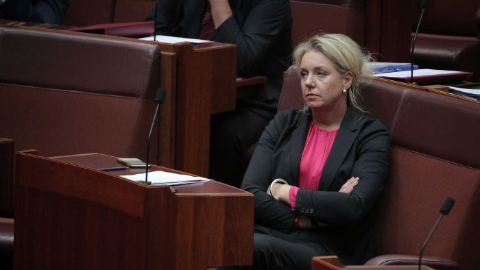 Bridget McKenzie says changes to sports financing list happened ‘unbeknown’ to her