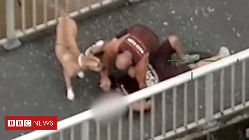 Australian takes on suspect and high-fives police