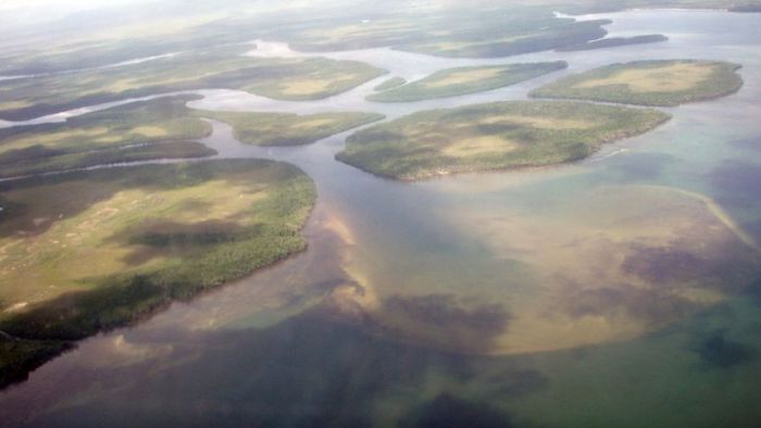 Five dead after light airplane crashes on Cape York beach