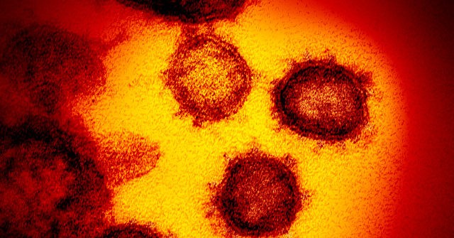 Federally Funded Research Studies Program Coronavirus Survives ‘Hours’ Airborne