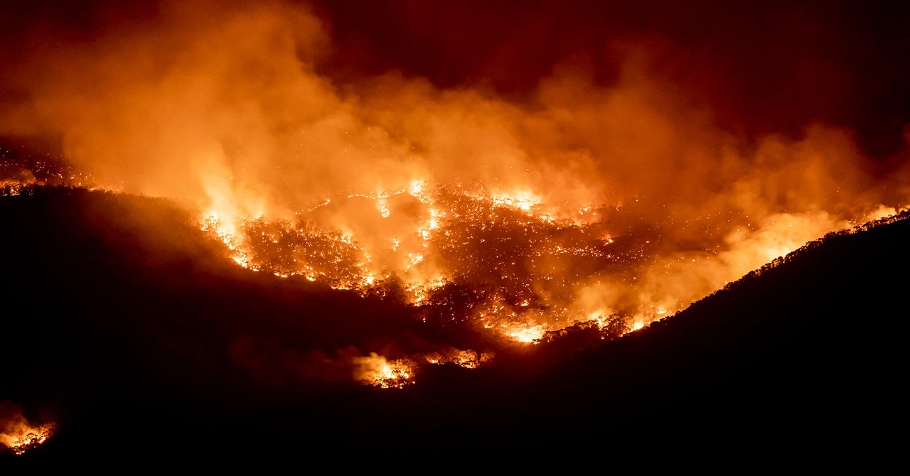 Fallout from Australia’s Huge Wildfires Is Choking Rivers