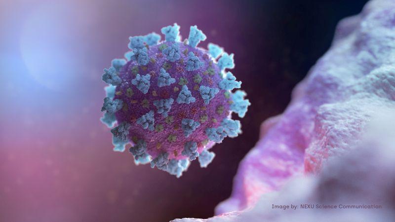 FDA approves first rapid coronavirus test with 45 minutes detection time