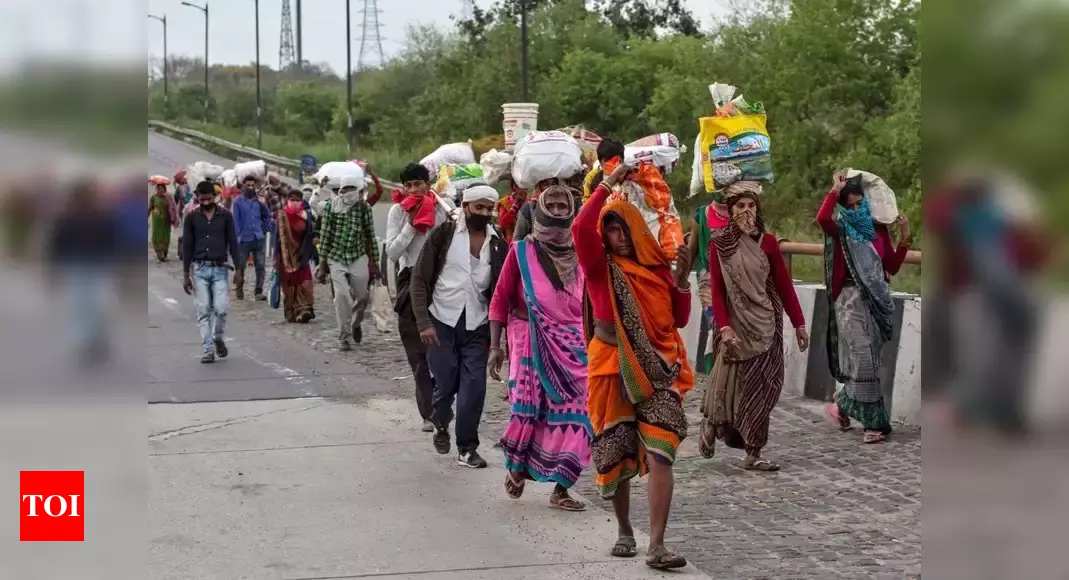 With no transport, migrants make the long march home