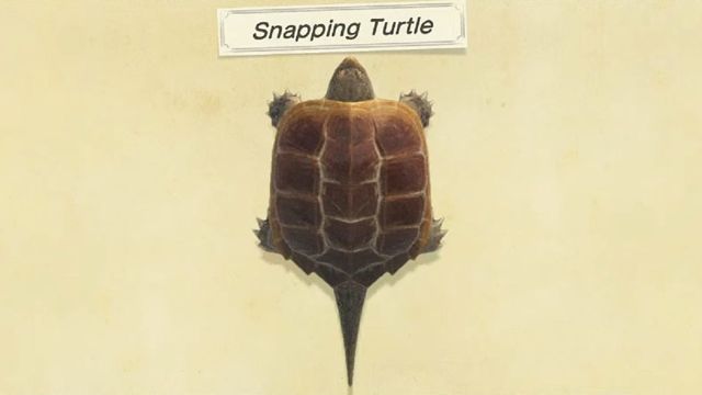 April fish: Where to get snapping turtle in Animal Crossing New Horizons