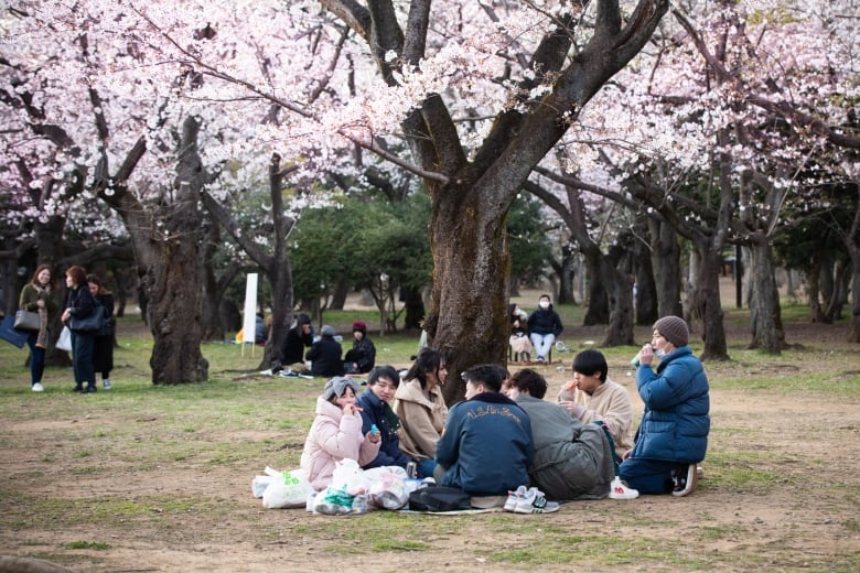 Detective work and a culture of cleanliness — has Japan found its own way to stop COVID-19? | CBC News