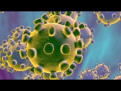 We Now Know How Coronavirus Came to NYC | NBC New York