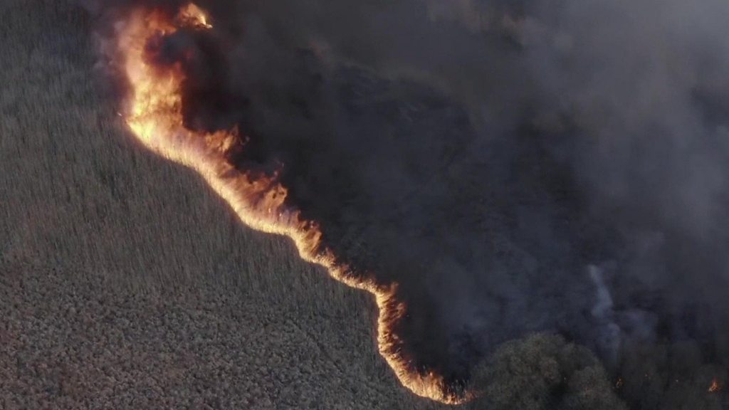 Wildfires ‘edge closer to Chernobyl nuclear plant’