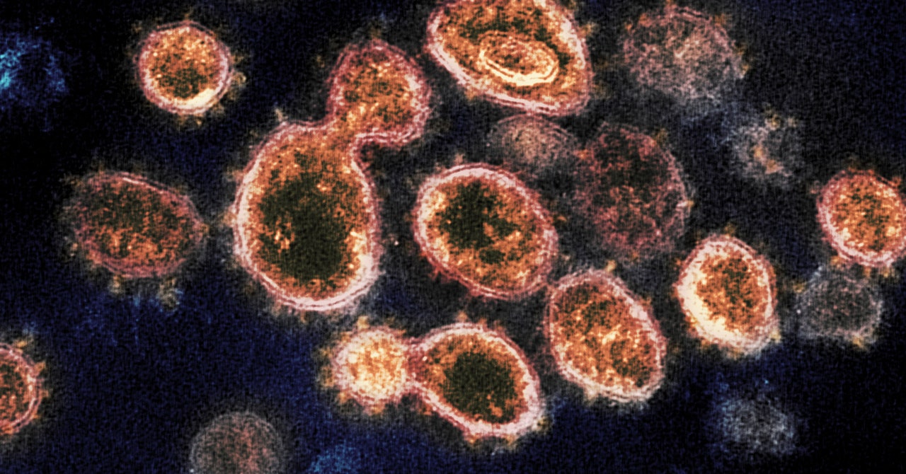 Here’s How Covid-19 Resistance Compares to Other Diseases