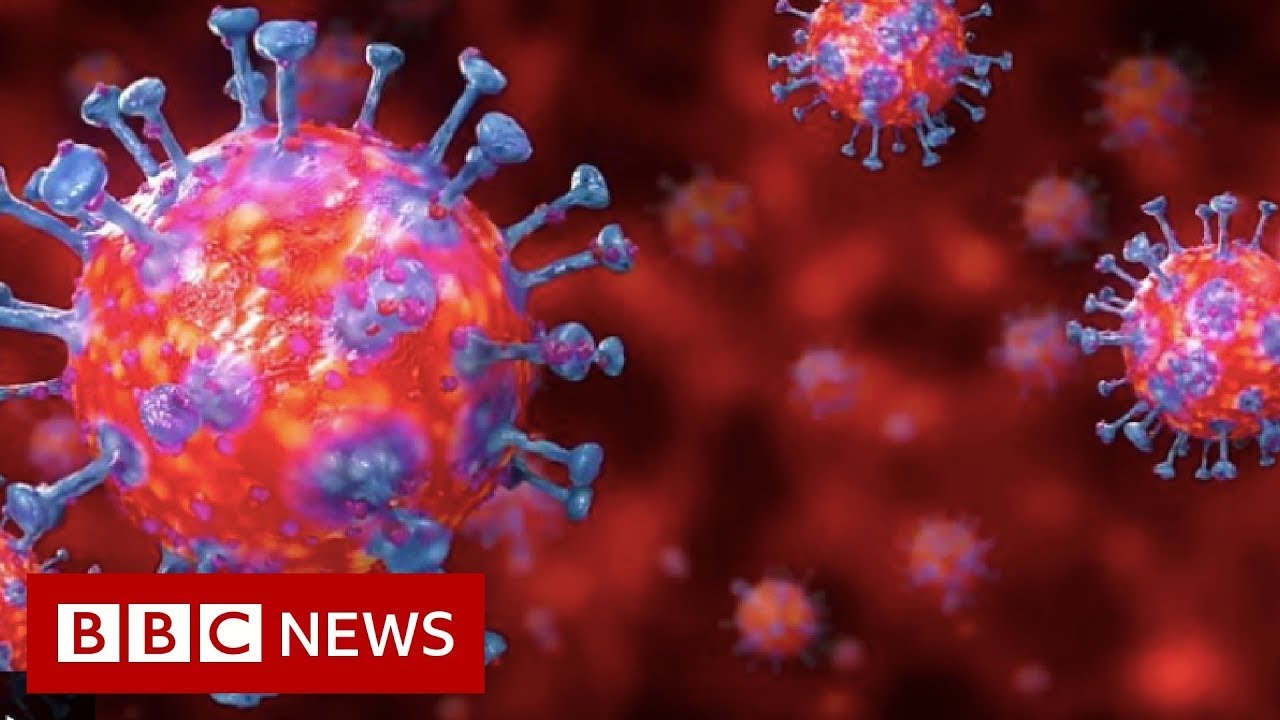 Coronavirus: deaths rates double to highest in 20 years