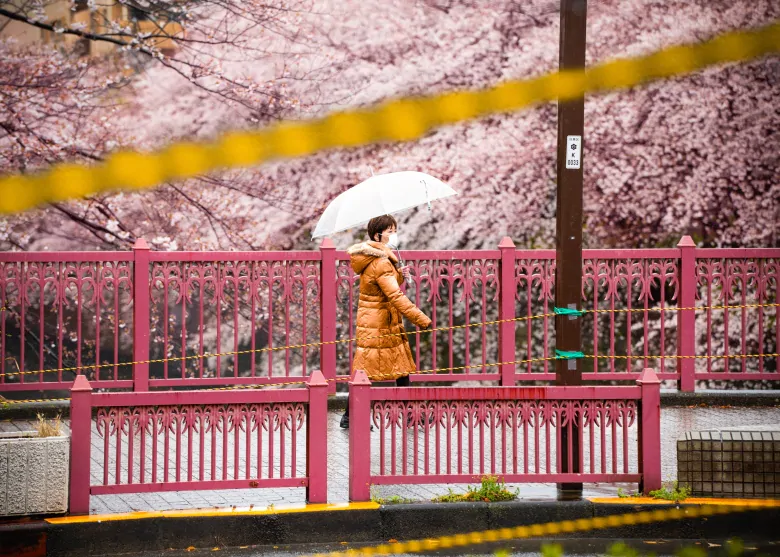 In Japan, COVID-19 rules are suggestions, not orders | CBC News