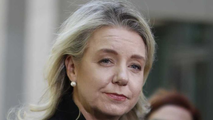 Bridget McKenzie breaks silence over sports scandal, safeguarding intervention in grant allotments