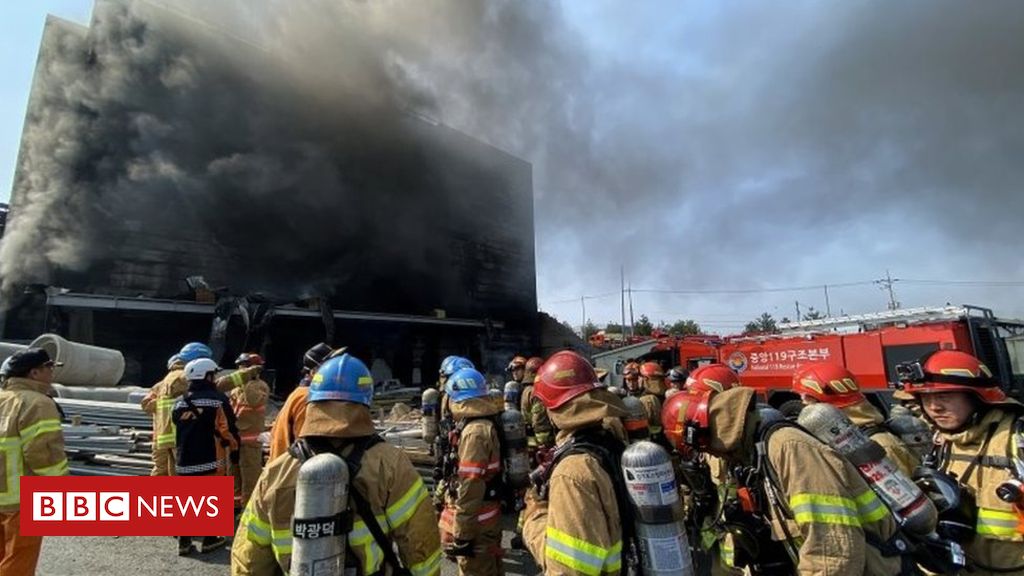 Dozens die in South Korea storage facility blaze