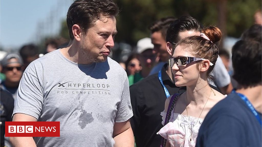 New father Elon Musk puts luxury houses up for sale