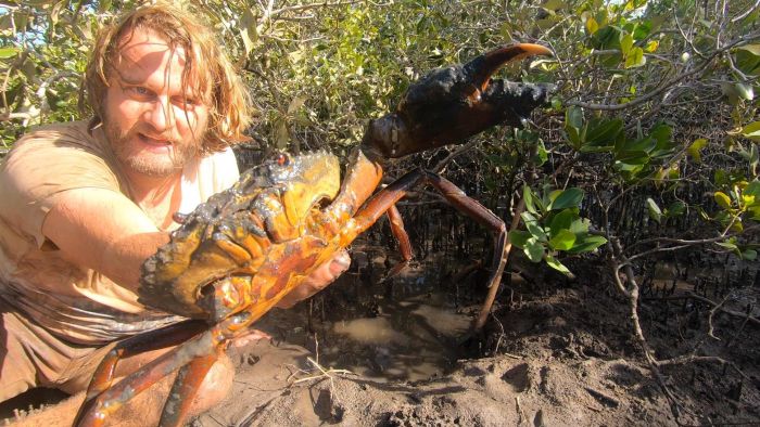 I have actually been living off the land for a week and already I am will to risk limb (or at least digits) for a feed of mud crab