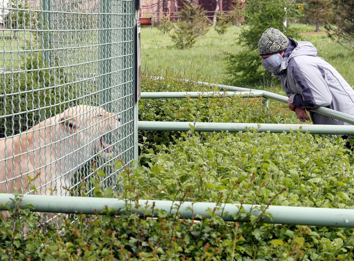 Mangoes off the menu for lonely primates, as Kiev zoo struggles in lockdown