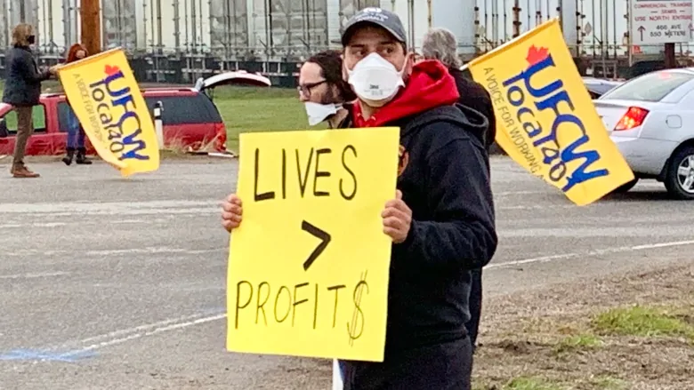 Safety investigation of COVID-19 in Cargill slaughterhouse didn’t include worker representation, review finds | CBC News