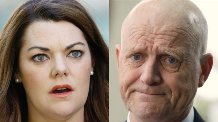 David Leyonhjelm’s comments about Sarah Hanson-Young not harmful, lawyer says