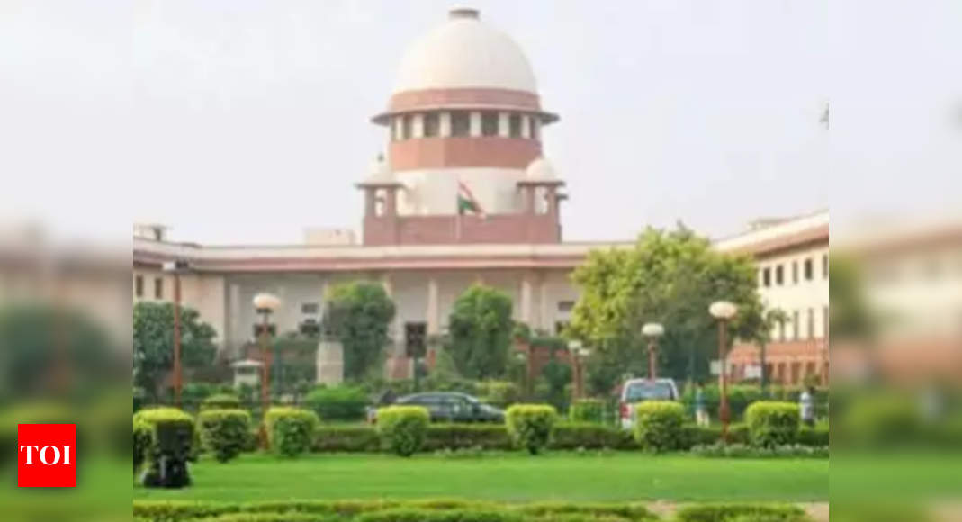 SC might work throughout 45-day summer season recess