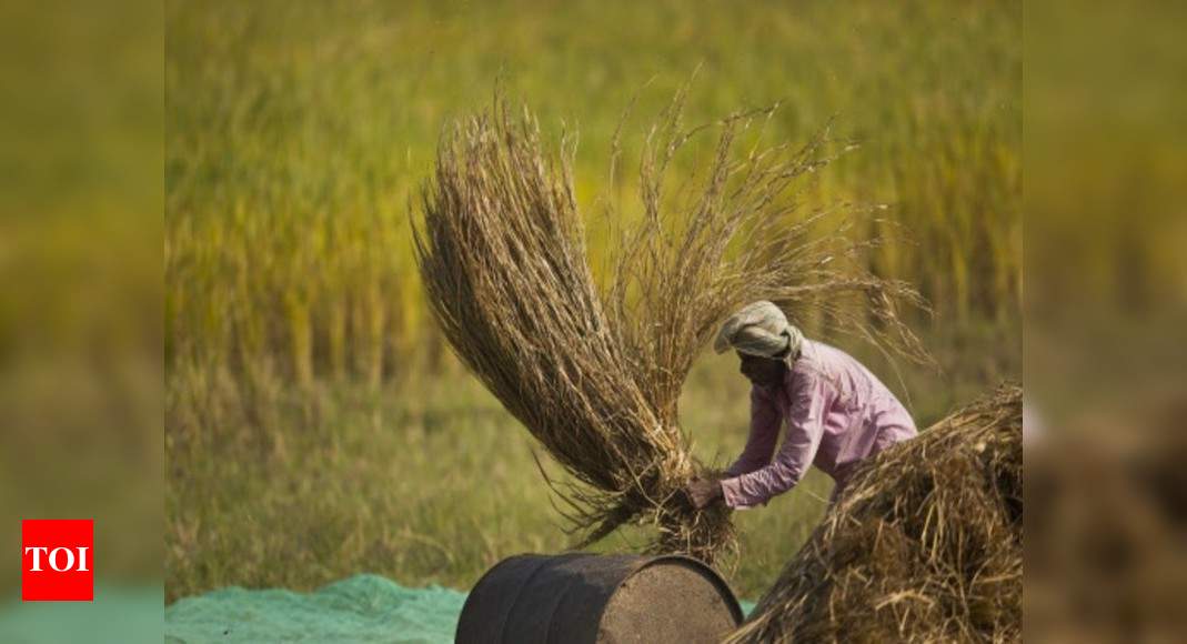 Nirmala Sitharaman announces Rs 1.63 lakh crore stimulus for agriculture and allied sectors