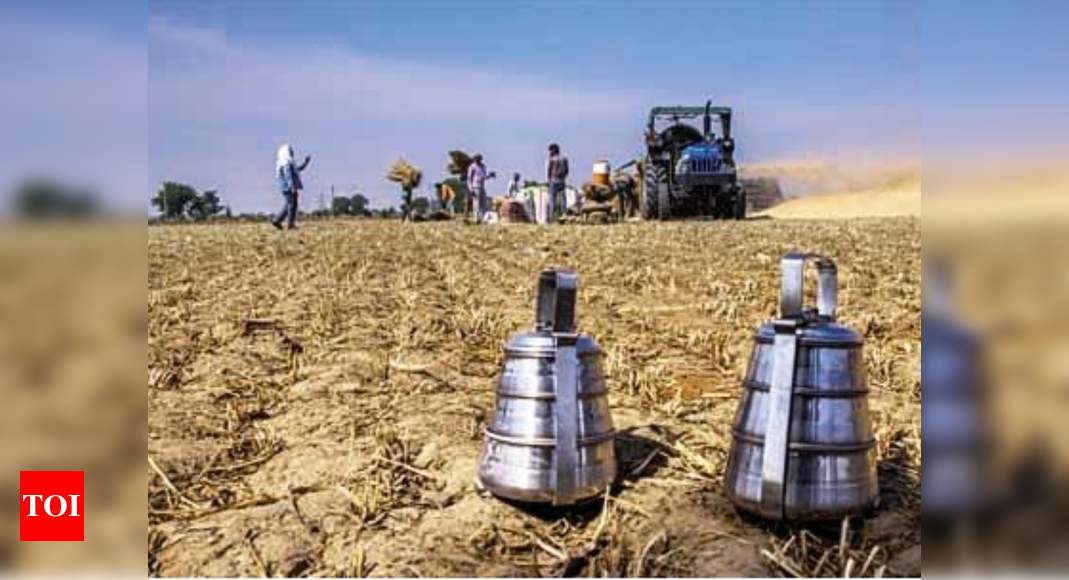 Govt likely to bring in ordinance to amend Essential Commodities Act