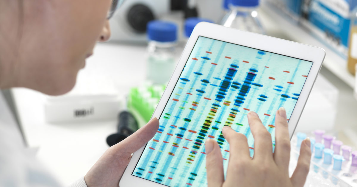 Study identifies gene that helps regulate cholesterol levels