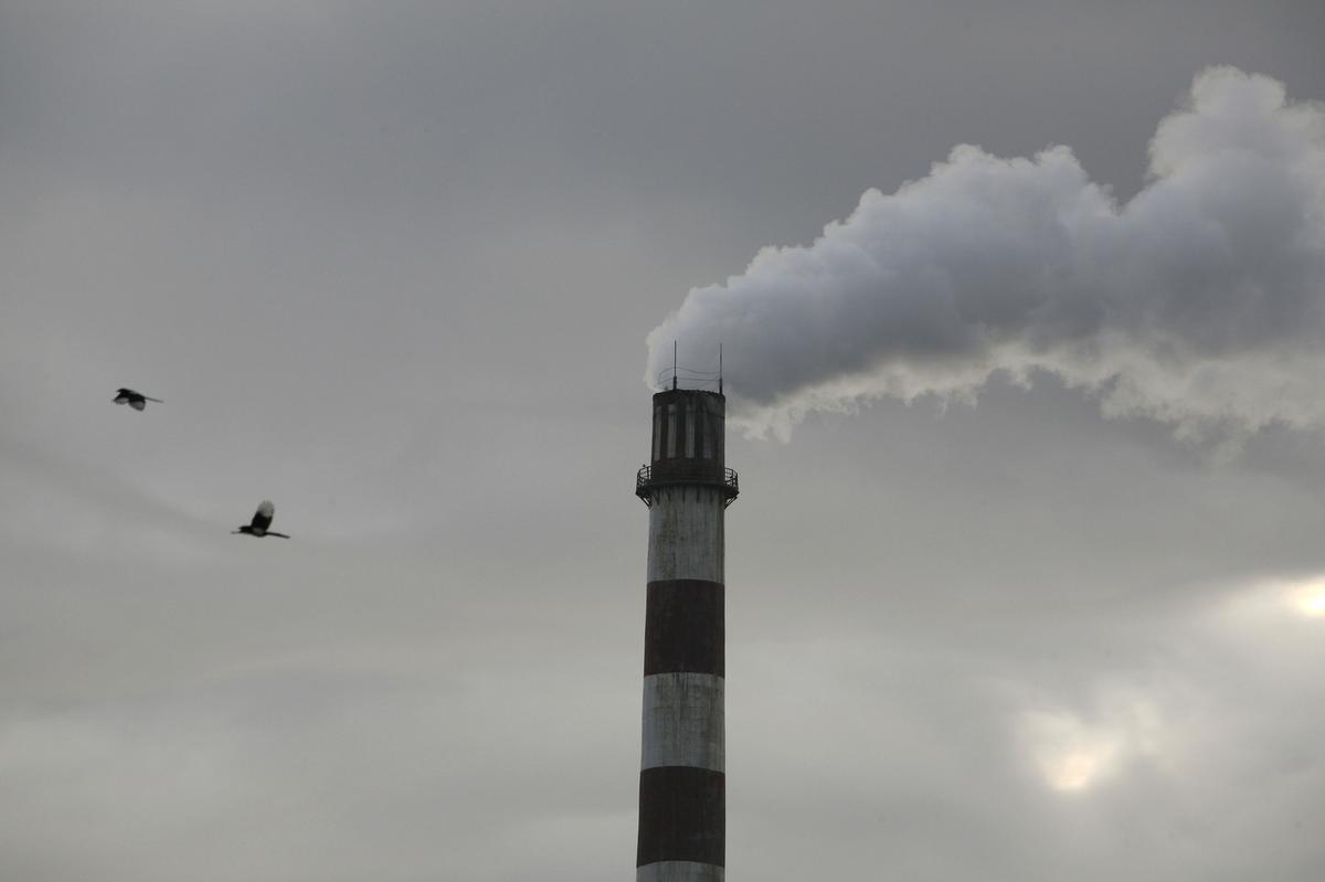 Global CO2 emissions could fall by up to 7% this year amid pandemic: research