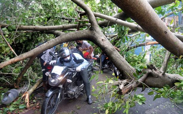 72 eliminated in Cyclone Amphan fury, 15 dead in Kolkata alone