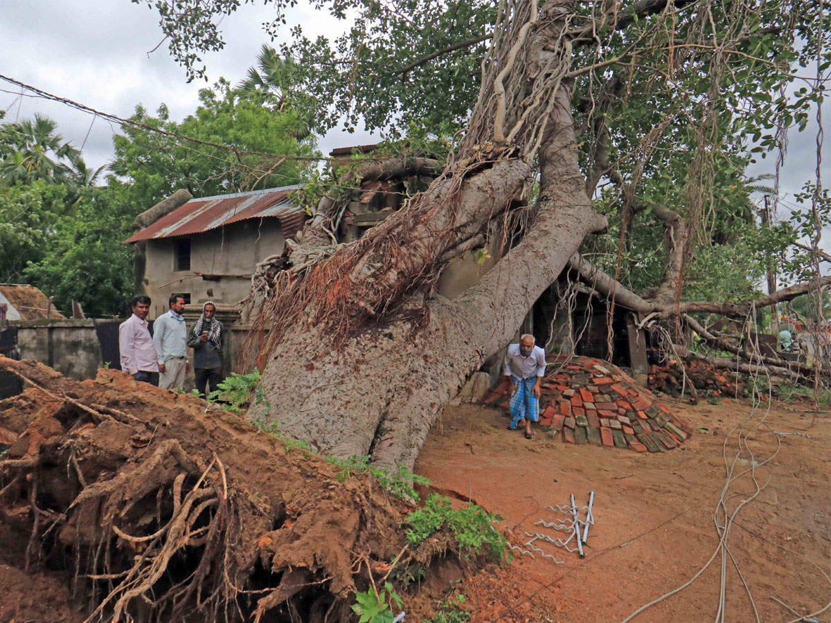 Cyclone Amphan live updates: PM Modi to conduct aerial survey today