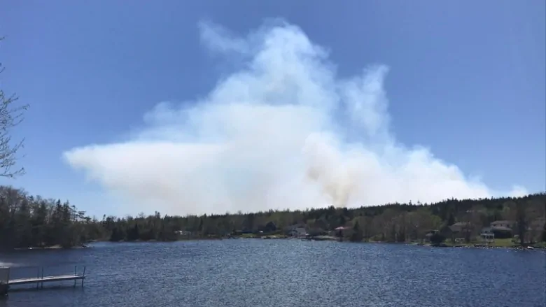 Homes evacuated in N.S. as crews battle brush fire | CBC News