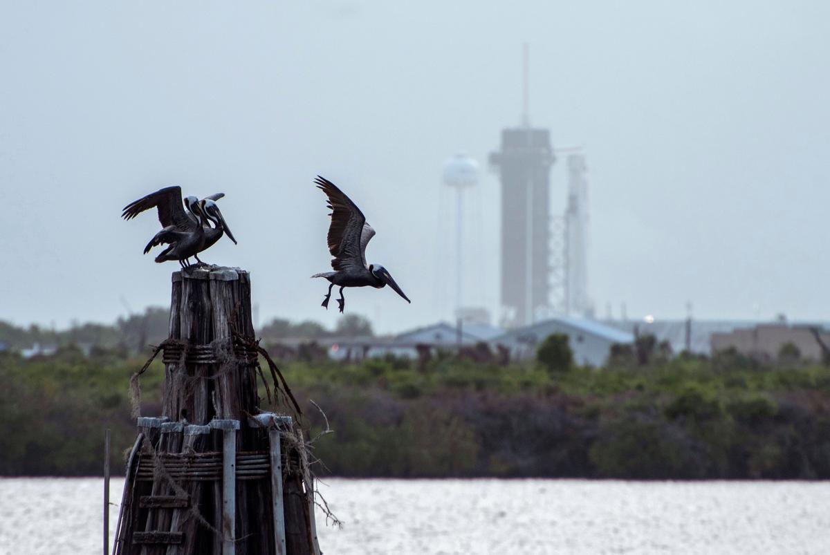 Musk’s SpaceX set for debut astronaut mission, renewing NASA’s crewed launch program