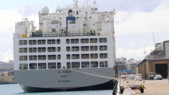 ‘Errors made all around’ in handling of coronavirus outbreak on live export ship, WA Premier admits