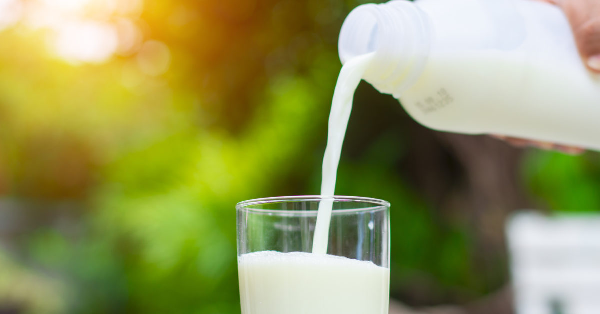 Could dairy safeguard against diabetes and hypertension?