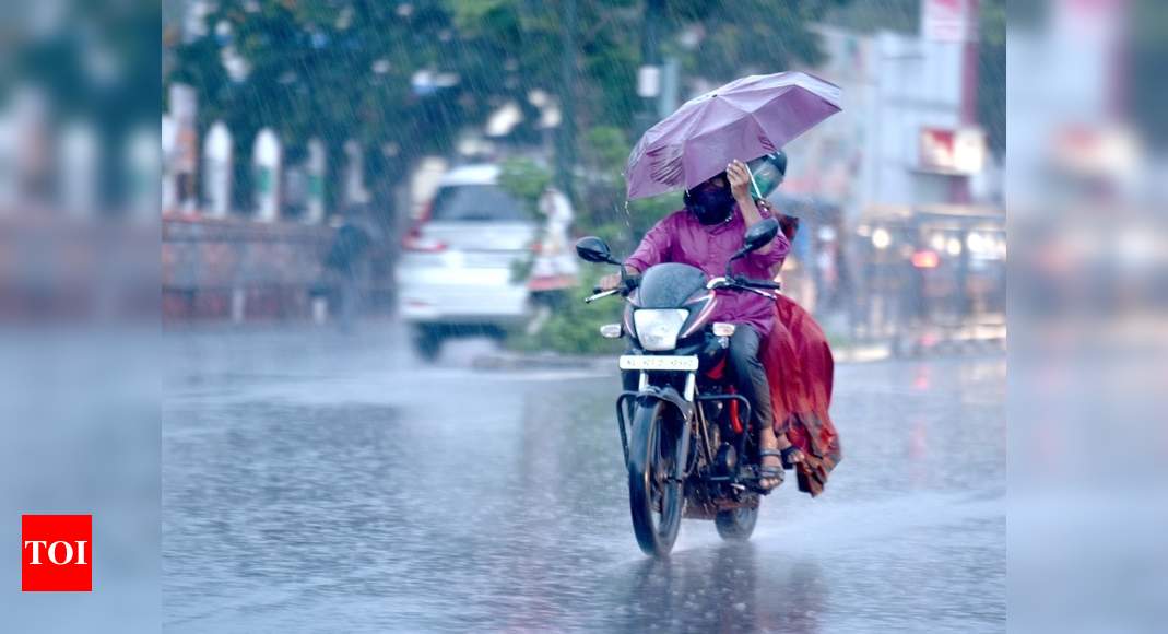 Monsoon hits Kerala; north to get ‘good’ rain