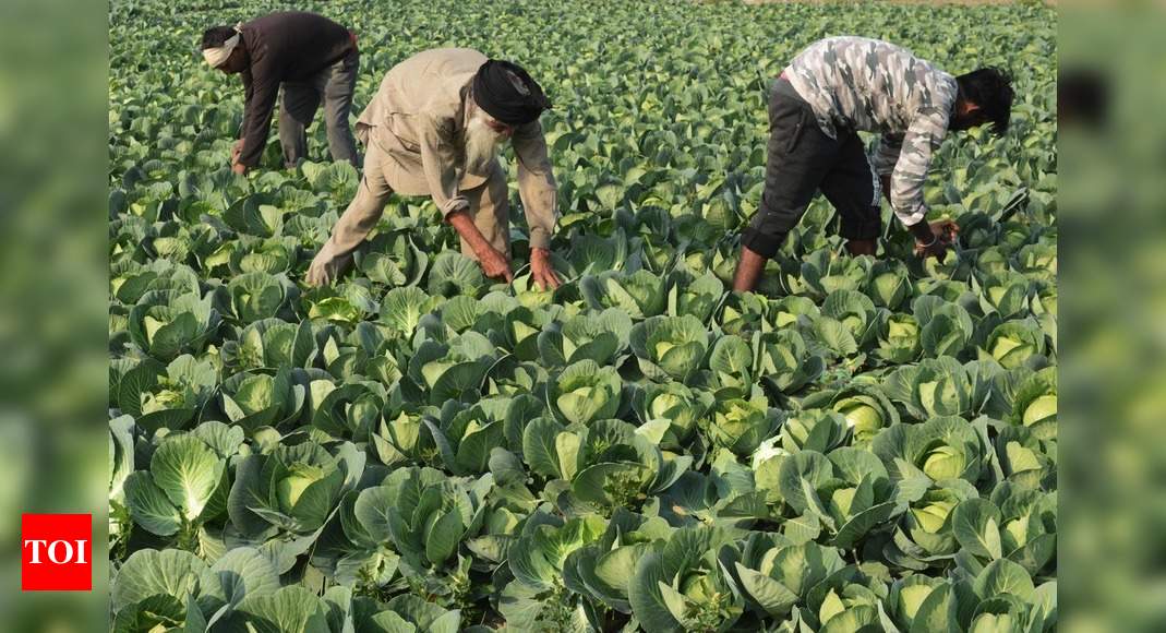 Cabinet clears ordinances to kick in agri reforms, create ‘One India, One Agri-Market’