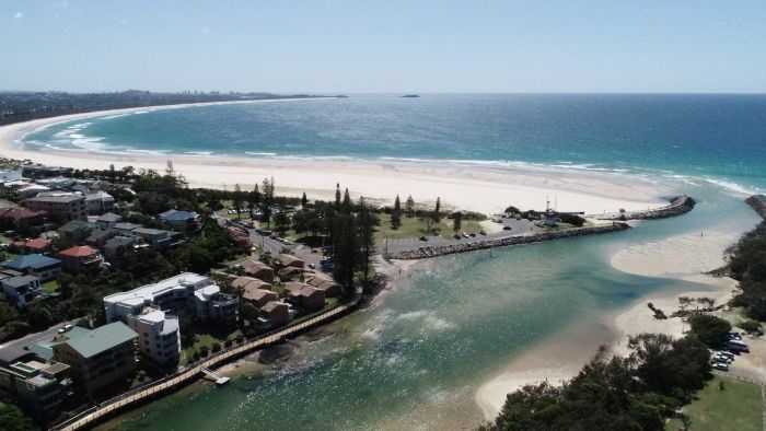 Internet user dies in shark attack in Kingscliff in northern NSW