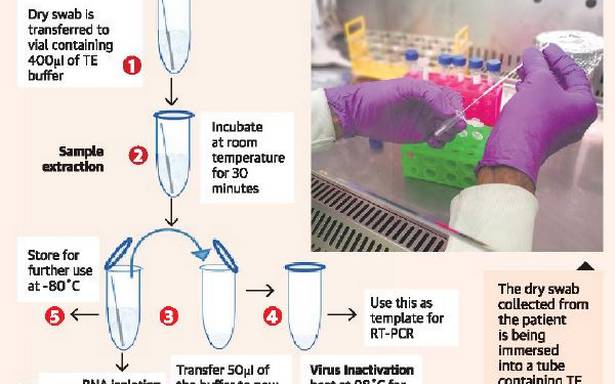 CCMB discovers more affordable, more reliable RT-PCR technique to test COVID-19 samples