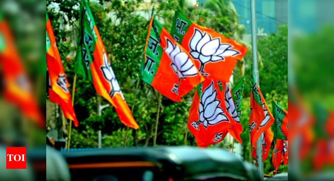 BJP may add 9 Rajya Sabha seats to its tally in June 19 polls