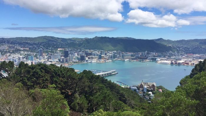 New Zealand is COVID-free, however it wasn’t the very first nation to get there