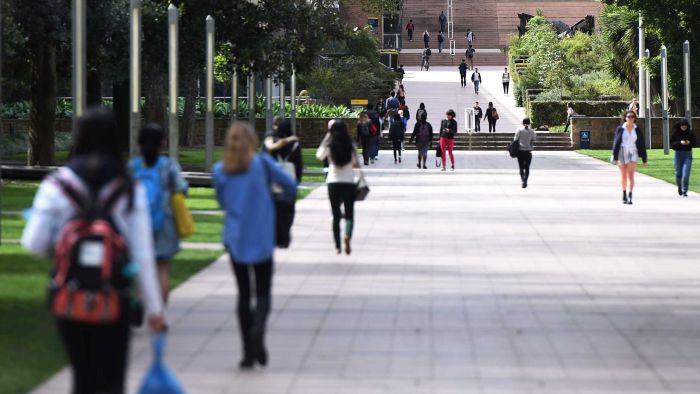 Chinese international students defend Australia as a ‘safe place’ to study