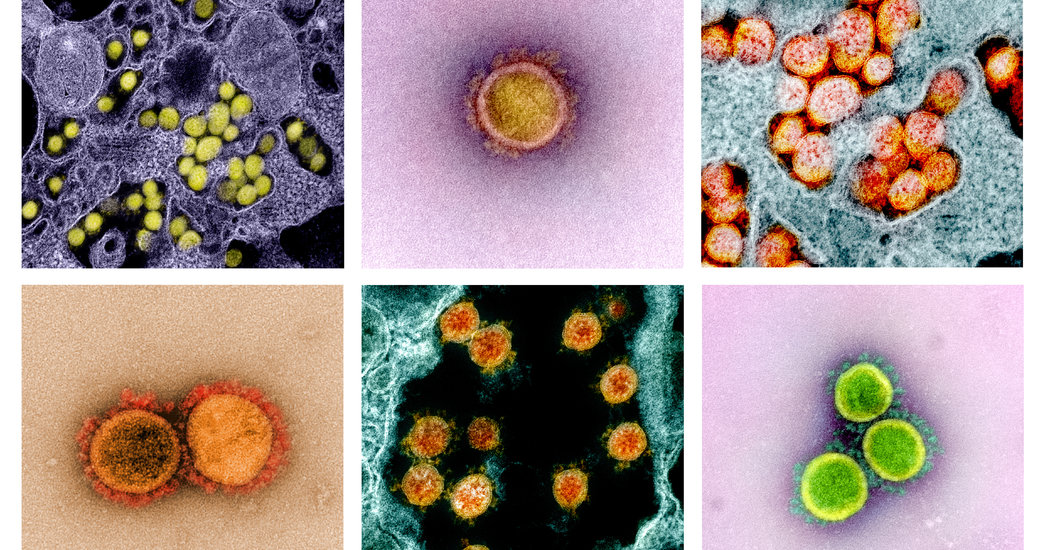 Coronavirus Can Set Off a ‘Cytokine Storm.’ These Drugs May Calm It.